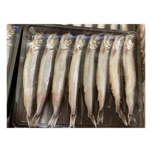 Capelin WR แช่แข็งขายส่งจำนวนมากส่งออกอาหารทะเลที่เชื่อถือได้ - Product Image 5
