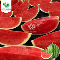 Groothandel Watermeloenblokjes Bevroren Fruit-Hoogwaardige Bevroren Watermeloenzaadblokjes Dobbelstenen-100% Biologische Verse Watermeloen