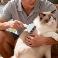 Peigne démêlant pour animaux de compagnie OEM, en acier inoxydable 304, à dents rotatives, poignée confortable en ABS, pour enlever le pelage emmêlé sans douleur