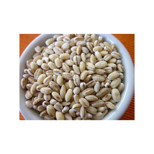 Grano de cebada disponible al por mayor en bolsas a granel y contenedores - Product Image 4