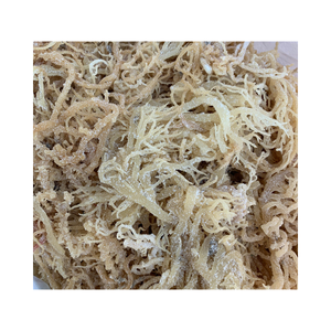 สาหร่ายแห้งคุณภาพสูง Cottonii / สาหร่ายแห้ง Eucheuma Cottonii - Product Image 1