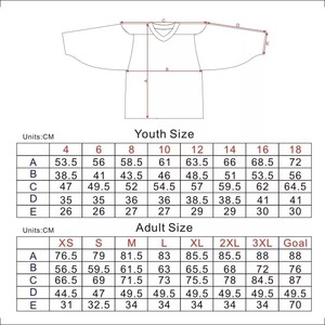 Custom 2025 Vintage Ice Hockey Jersey Breathable 100% <b>Polyester</b> Throwback Design with Front Logo Team Name Custom Made - Product Image 6