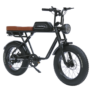 Kho Giao Hàng Để Nhà 400W 1000W 48V 20Ah Off Road Xe Đạp Leo Núi Điện 2 Ghế Chất Lượng Cao Dành Cho Người Lớn Xe Đạp Leo Núi Điện - Product Image 6