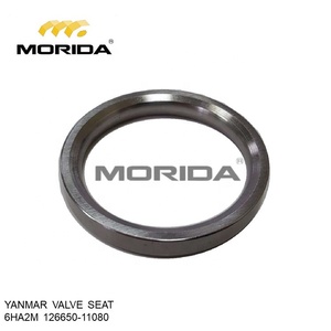 ANILLO DE PISTÓN 6EY17W 74069522510 para YANMAR - Product Image 2