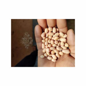 2024 Commercial Portable <b>Peanut</b> Shelling Peeling Machine Organic Groundnut Peeling Raw Processing for Farm Wholesale - Product Image 2