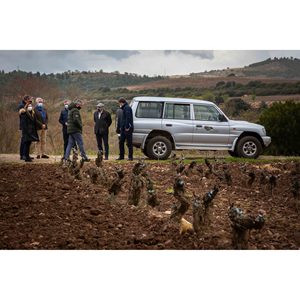 Cadeau pour la fête des mères Expérience de tourisme viticole La Rioja et ensembles de service de boissons haut de gamme - Product Image 5