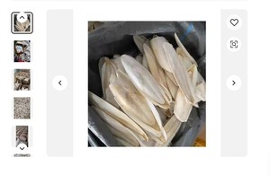 Huesos de sepia secos naturales se exportan a buenos precios productos de mariscos frescos de Vietnam - Product Image 2