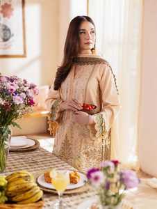 Traje de Salwar Kameez, traje de diseñador indio paquistaní Chudidar, traje de punto Punjabi, vestido lavable Natural para mujer, ropa de fiesta de boda - Product Image 2