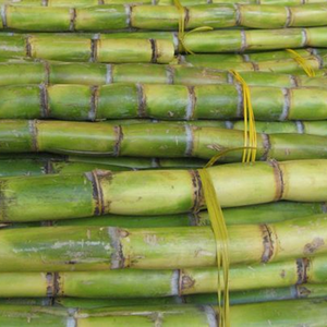 Concentrado de jugo de caña de azúcar tropical congelado de calidad superior hecho en Vietnam Precio barato Bebida rica en nutrientes - Product Image 3