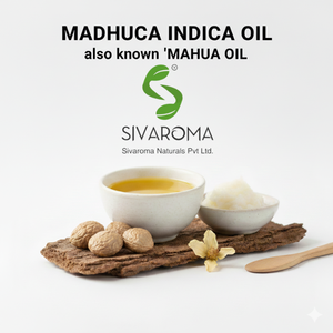 Aceite de Semilla Natural de Madhuca Indica para la Elaboración de Lociones, Cremas, Jabones y Aceites Capilares - Product Image 2