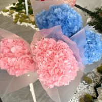 Hydrangeas naturels préservés, longue durée de vie (3-5 ans), grandes feuilles, tiges, décoration pour mariage, Saint-Valentin, remise de diplôme, fabrication artisanale