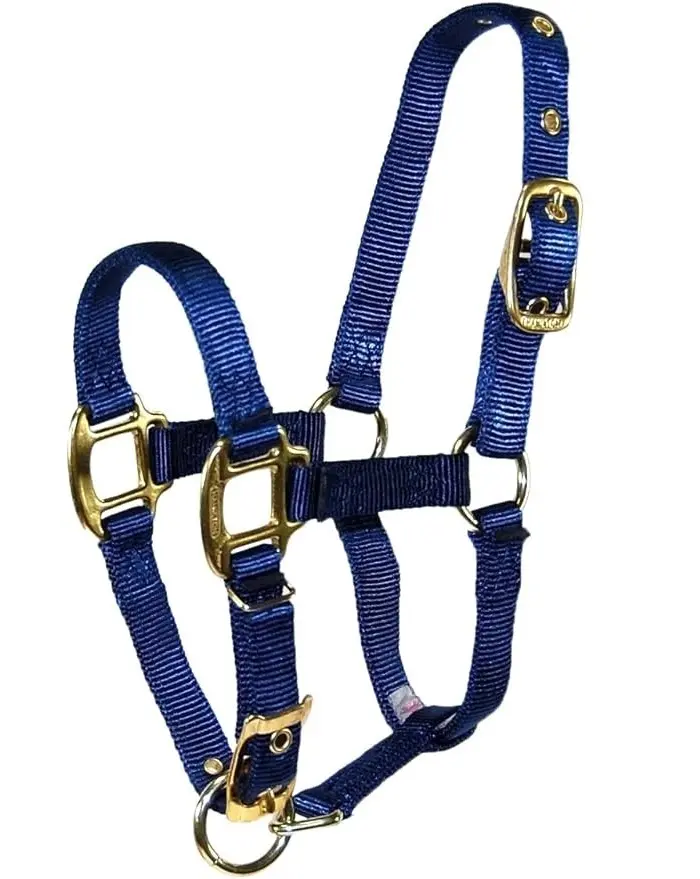 Usine ODM Menton Réglable Cheval Halter, P ony,Cob,Full Purple, Rouge, Orange. Halters de selle anglais vert, bleu marine d'Inde