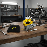 Système d'alimentation en carburant pour moto Pinasco SI 24 VRX-R, carburateur, Italie