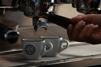 Café moulu torréfié au bois Blasini Caffe Arabica Espresso Intenso 250g x 6 pièces en boîte métallique Fabriqué en Italie Durée de conservation de 2 ans