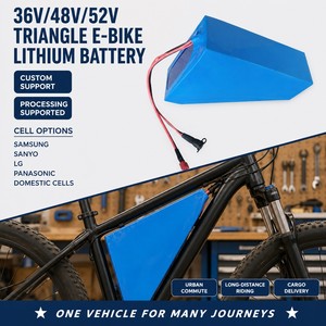 <span class=keywords><strong>Batterie</strong></span> de vélo électrique Hailong <span class=keywords><strong>48V</strong></span> 10Ah, <span class=keywords><strong>batterie</strong></span> lithium-ion avec BMS intégré, longue portée pour vélo électrique - Product Image 5