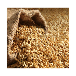 Barley <b>Seeds</b> for Animal Feed (Cattle & Sheep)-Barley Growing Sprout 2 Year Shelf Life Cool Dry <b>Storage</b> Factory Direct - Product Image 6