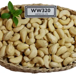 Käufer Rohe Cashew nuss Kaju Badam Snack Cashew nuss Preis Versand bereit WhatsApp 84931697868