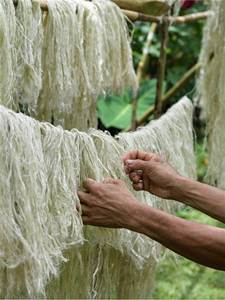 100% produit d'agriculture de tissu de fibre de banane écologique naturel de VIET FARGIMEX VIETNAM - Product Image 2