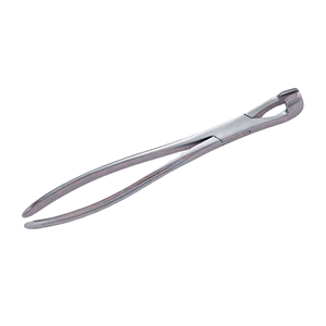 Forceps d'extraction dentaire en acier inoxydable de qualité supérieure pour incisives et molaires de cheval, instruments vétérinaires durables pour toutes les tailles d'équidés - Product Image 3