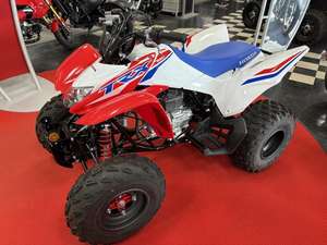Offre Annuelle 2025 – Nouvelles Motos Honda TRX250X (Jeunesse) - Product Image 2