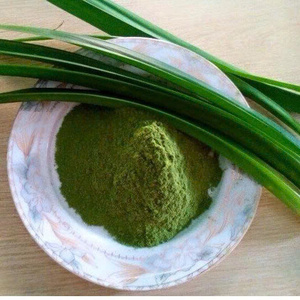 PANDAN HOJA EN POLVO CALIDAD PREMIUM INGREDIENTE HERBAL NATURAL A GRANEL SUMINISTRO AL POR MAYOR PRODUCTO DE EXPORTACIÓN OFERTA CALIENTE TOP VENTAS - Product Image 4