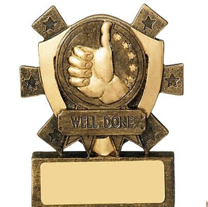 ถ้วยรางวัล welldone ถ้วยรางวัลถ้วยรางวัลรางวัลแรกชุบทองตกแต่ง - Product Image 1