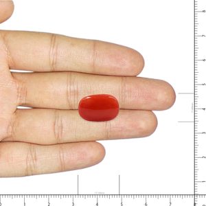 Coral rouge naturel de 8,08 carats, carré, certifié GIA, poli, traité thermiquement, combinaisons minérales jaune-vert, blanc, jaune-vert, 3 mm - Product Image 3