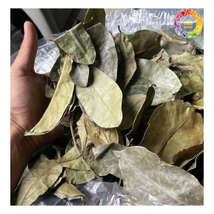 Meilleures ventes de feuilles de corossol séchées en vrac, thé de feuilles de Graviola séché de qualité supérieure, poudre de feuilles de corossol séchées, capsules - Product Image 4