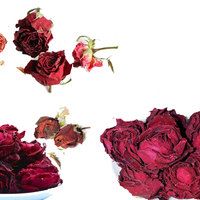 Fleur de rose rouge séchée | Décor romantique et garniture de table