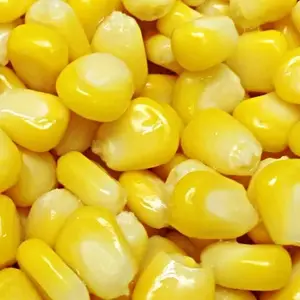Freeze dried vegetables steam sweetcorn to make salad or dip for sale fast delivery