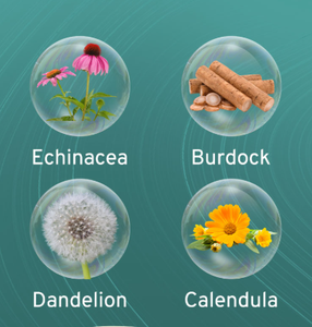 OEM Липосомальные капли для лимфодренажа 11 в 1: Добавка с корнем лопуха, эхинацеей, календулой. Жидкость для приёма внутрь. - Product Image 2