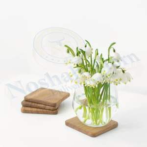 Sous-verres en bois naturel de haute qualité Protection écologique durable pour la maison ou le bureau - Product Image 1