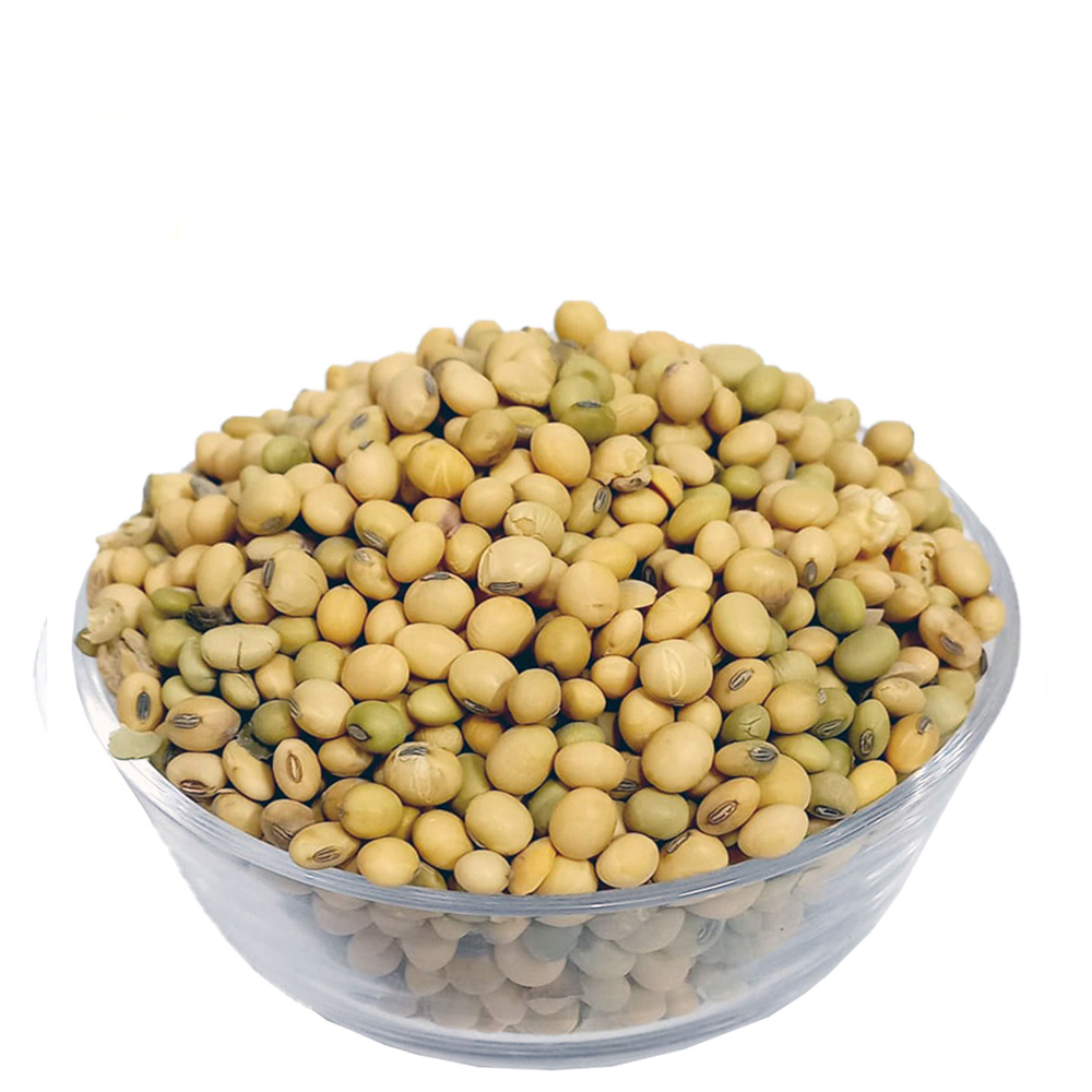 Organic Soybeans High Protein Grain Freshly Cleaned and Dried Non-GMO Bulk Packaging for Food Industry and Trade