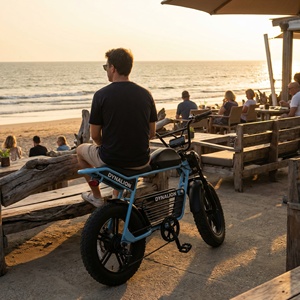 Bicicleta Eléctrica con Llantas Gruesas para Comercio Electrónico Transfronterizo, Venta al Por Mayor de Bicicletas Eléctricas para Dropshipping en Almacenes Extranjeros - Product Image 4