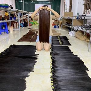 Ady Hair Wholesale 'Genius' Collection 100% Vietnam Remy Perruques de cheveux humains Os Straight Skin Weft in All Colors - Product Image 5