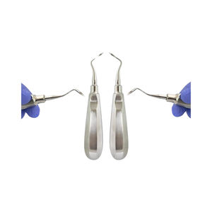 Juego de Elevadores Dentales de Acero Inoxidable de Alta Calidad, Herramientas Ergonómicas de Precisión para Extracción de Raíces, Manuales, para Clínicas Dentales - Product Image 2