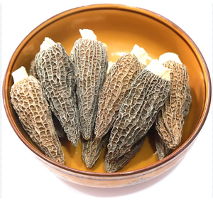 Mejor Precio 2024, Champiñones Silvestres Blanqueados de Francia, 10 kg, Compra al por Mayor, Entrega Rápida, Precio Bajo Disponible para la Venta - Product Image 1