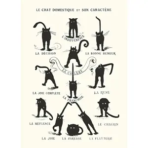 Décoration murale Chat Domestique : Design Caractéristique pour Intérieurs Raffinés - Product Image 1