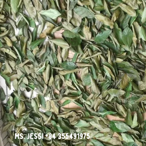 Hojas de Guanábana orgánicas al por mayor-Extracto de hoja de Graviola de alta calidad/Sra. Jessi - Product Image 2