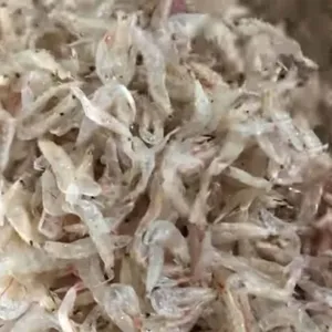 Việt Nam bé tôm bột Bán Chạy nhất chất lượng hàng đầu với giá rẻ từ Việt Nam