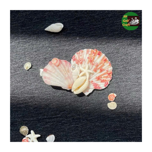 Pince à cheveux en coquillage faite à la main-griffe de cheveux en coquillage naturel pour un look de plage-postiche mode d'été côtière - Product Image 5