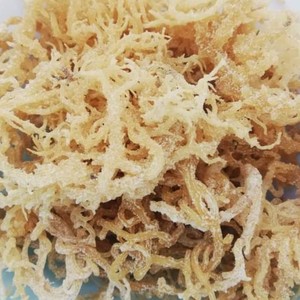 Vente en gros à prix réduit d'algues marines séchées pures Gracilaria et d'algues marines irlandaises sauvages d'origine vietnamienne, emballage personnalisé Vietnam - Product Image 3