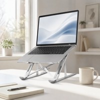 Support de tablette PC en métal réglable, support pliable pour ordinateur portable, support de refroidissement, support en aluminium compatible avec iPad