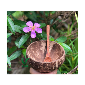 Bol de noix de coco biologique vietnamien de haute qualité: bol en bois décoratif écologique fabriqué à la main au meilleur prix de gros - Product Image 2