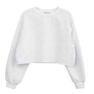 OEM Heavyweight Coton Polaire Sweat-shirt Meilleur Design Logo Personnalisé Impression Femmes Crop Top À Capuche avec Logo Avant Vente En Gros - Product Image 1