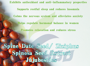 Suministro directo de fábrica HGO de semilla de fecha de espina natural pura/extracto de semilla de Ziziphus Spinosa Jujubosides 0,1 (extracto estandarizado) - Product Image 5