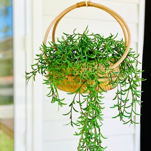 Andmade-cesta para plantas de ratán de primera calidad, maceta moderna para flores, se acepta personalización - Product Image 3