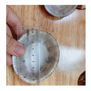 Coastal Decor Limpet Shell de 99 Gold Data Vietnam Utilizado en proyectos de arte hecho a mano y Shell con Limpet Shell - Product Image 4