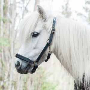 อานม้าแบบตะวันตก รุ่น 0786 ยี่ห้อ Rub International ดีไซน์สวยงาม พร้อมสายรัดหนังสำหรับม้า  อุปกรณ์ตกแต่งหรูหรา ปรับแต่งได้ - Product Image 4