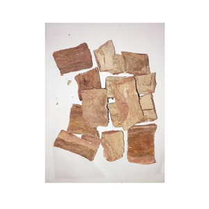 รากเทอร์มินัลเลีย อาร์จูนา อาร์จูนา รูท อาร์จุน ชาล สมุนไพรดิบแห้ง ขายส่ง สารสกัดสมุนไพรเกรด - Product Image 6